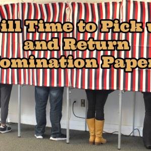 Voters lined up at the polls, casting votes, in the November 2016 elections. (Photo by Chris Wolf)