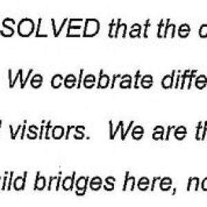 Parts of a resolve document proposed by advocacy group BelFem were accepted by the Belfast City Council. Other parts were not so welcomed.