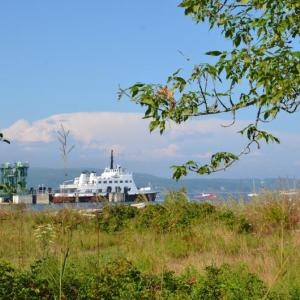 Lincolnville in late summer