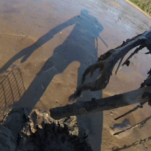 This is a snapshot captured by Clam Cam — a small video camera strapped to a harvester's chest. The Clam Cam project details how clams get from intertidal mud to the market to people's plates. (Photo courtesy of Bridie McGreavy, Tyler Quiring and Carter Hathaway)