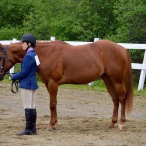 Adult Showmanship Masha Faulkner showing Nellie. (Courtesy Chelsea Lord)