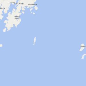 Jeremy Willey and Jeffery Dorr Jr. were approximately 10 to 12 miles off of Matinicus Rock when they spotted a young seal entangled in rope, floating atop the water.