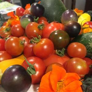 An inviting tray of fresh cherry tomatoes on the counter in the lobby of the Camden Riverhouse hotel. (Photo: Jenna Lookner)