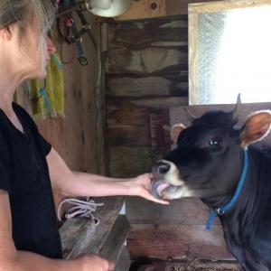 Laura, the cow’s owner, and the Island Cow. (Photo courtesy Eva Murray)
