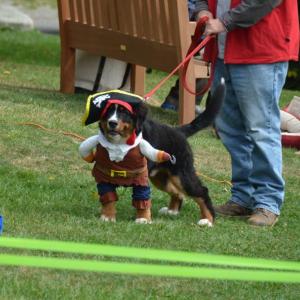Stepping into character at the P.A.W.S canine obstacle course during the 2017 Camden Windjammer Weekend. (Photo by Sarah Thompson)