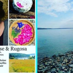 Dulse & Rugosa is the kind of microbusiness that thrives when people shop at bricks and mortar stores locally. Their seaweed and plant-based skincare products can be found at another local shop Archipelago, in Rockland.