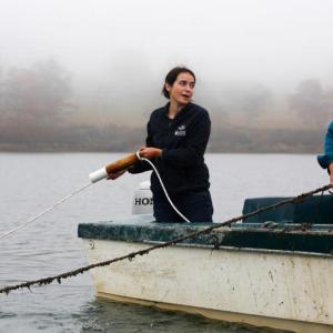 Springtide Seaweed is a seaweed farm. Sarah Redmond is a seaweed farmer, tending the wild ocean garden and inspiring others about all things Maine seaweed. (Photo courtesy Springtideseaweed.com)