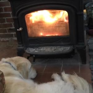 Blazing Fire