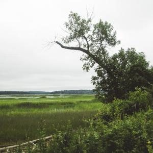 The view from a farm in Bowdoinham that borders Merrymeeting Bay, which is a focus area for this project. (Photo Jenny Nelson for Maine Farmland Trust)