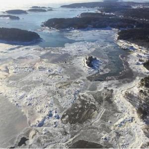 Long Cove, Tenants Harbor. Pilot Ingram captured this image near Tenants Harbor as he conducted a surveillance flight yesterday which turned up no signs of Benner.
