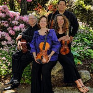 Photo courtesy DaPonte String Quartet