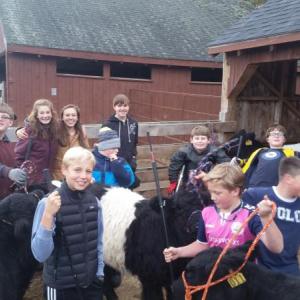 (Photo courtesy Aldermere Farm)