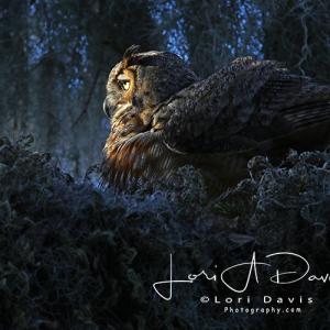 A photograph by featured artist Lori Davis. (Photo by Lori Davis Photography)