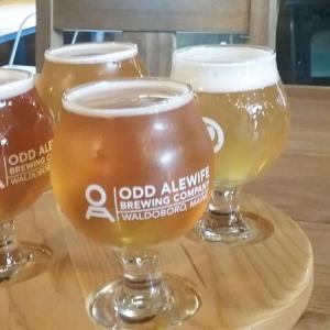 A flight of brews at Odd Alewives Farm Brewery. (Photo by Kay Stephens)