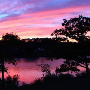 June in Maine (Photo courtesy Russ Krauss)