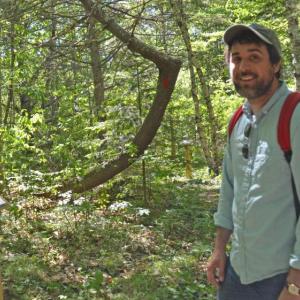 Merryspring’s Nature Center’s Program Director Brett Willard in the Kitty Todd Arboretum, whose grand reopening takes place June 23 at 10 a.m. (Photo by Lynda Clancy)