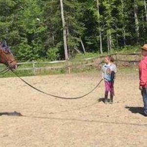 krystal and horse