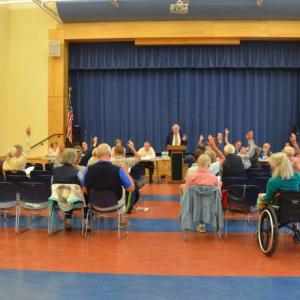 Lincolnville citizens unanimously approved an amendment to the town meeting warrant to combine 10 articles at the end of the warrant into one, thus moving the town meeting swiftly to conclusion. (Photo by Lynda Clancy)