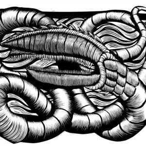 One of Minzy’s creatures with teeth titled Ad Nauseum. (Photo courtesy Scott Minzy)