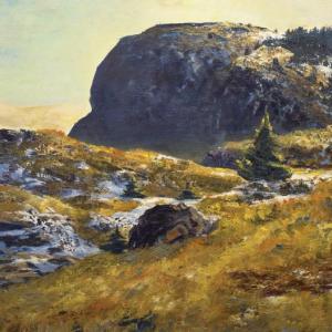 Andrew Winter