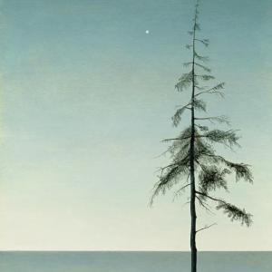 Evening Star, by Kenneth Schweizer
