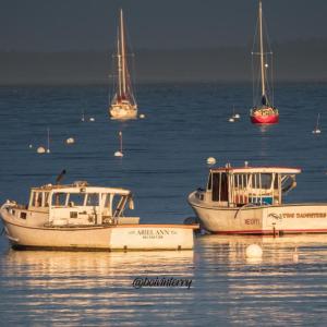 Belfast Harbor. (Photo courtesy Terry Boivin)