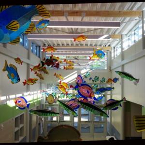 Janet Redfield’s swimming fish, now hanging in the Amanda C. Rowe Elementary School in Portland. (Photo courtesy Janet Redfield)