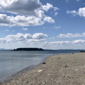 An island on Penobscot Bay, in the Gulf of Maine, in August 2018. (Photo by Lynda Clancy)