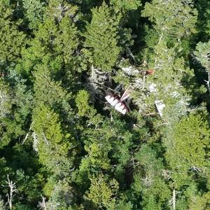 The plane crashed into the side of Bigelow Mountain. (Photo courtesy Maine Forest Service)