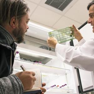 Scientist Joaquίn Martίnez Martίnez, right, shows artist Justin Levesque vials of marine algae infected with viruses at Bigelow Laboratory for Ocean Sciences in East Boothbay. As a visiting artist-in-residence at the nonprofit research laboratory, Levesque recently began working to gain inspiration for an art exhibit that is planned for public display in summer 2019. Courtesy of Bigelow Laboratory