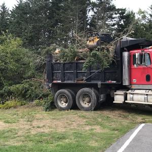 Clearing the site. (Photo courtesy of Marshall Point Lighthouse and Museum)