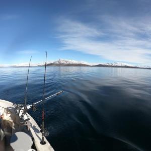 Trolling for Atlantic salmon in Greenland's Igaliko Fjord. Photo credit: NOAA Fisheries/Tim Sheehan