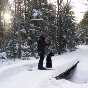Charlie, the Black Lab, is the Trail Boss and loves snow. Family and dog friendly groomed trails at Appleton Preserve, Route 105, Appleton. (Photo by Georges River Land Trust)