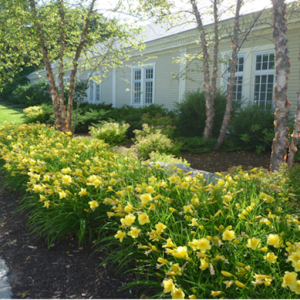 Registration is open for over 200 University of Maine undergraduate and graduate summer courses, both live and online, offered at the University of Maine Hutchinson Center, May 13 through Aug. 23. (Photo courtesy of UMaine Hutchinson Center)