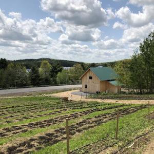 Gardens beside the Wild Grace Farm Store. (Photo courtesy of Wild Grace Farm)