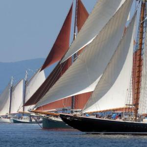 Boats on the race course at the start of the race. (Photo courtesy Bob Trapani)