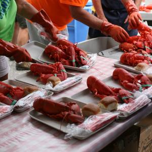 (Photo courtesy Maine Lobster Festival)