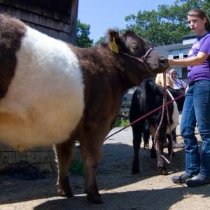 Farm tour at Aldermere Farm. (Photo by Devin Altobello)