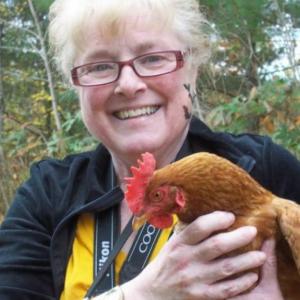 Donna J. Damboise-Grindle.