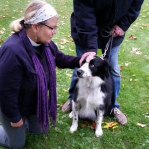 Rev. Abby Pettee, Chaplain at Pen Bay Medical Center, blesses “Teddy” at the annual Service of Blessing the Animals held Oct. 6 on Camden’s Village Green. (Photo by Sarah Shepherd)