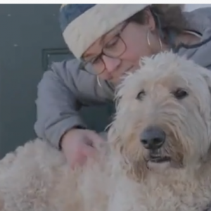 Abbie Leonard and her Goldendoodle Wilson. (Photo courtesy VetriScience)