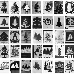 Images from S.B. Walker’s forthcoming exhibition Nor'East, to be shown summer 2020 at Center for Maine Contemporary Art in Rockland. (Photo courtesy Center for Maine Contemporary Art)