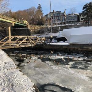The mouth of Goose River, where it enters Rockport Harbor, beneath the bridge. (Photo by Lynda Clancy)