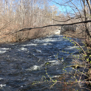 Riding the Megunticook River. (Photo courtesy Alison McKellar)