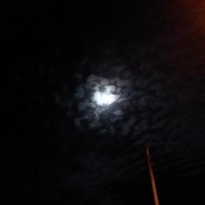 A full moon competes with neighboring artificial lighting. (Photo by Sarah Thompson)
