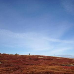 Update: Beech Hill Preserve announced on April 1 it was re-opening to the public with important changes.