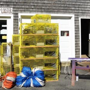 Devon Yaeger, who works with Rockport Lobster, paints the lobster trap lines with purple paint, preparing for the 2020 lobster season. The state and federal government this year is directing lobstermen to paint their lines in order to help determine whose — U.S., Canada — lines are prone to tangling around whales in the Gulf of Maine. (Photo by Lynda Clancy)