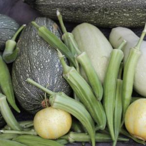 The three sisters of Milpa gardening. Photo courtesy Green Cover Seed (greencoverseed.com)