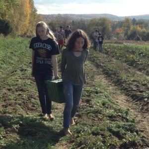 Ecology Learning Center students Azure Walauski (left) and Annalise Garnett (right) harvesting carrots at Songbird Farm in Unity. (Photo courtesy Ecology Learning Center)