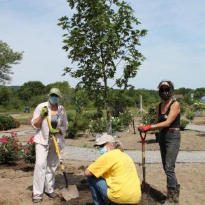 Planting of the legacy maple (l to r): Susan Lewis Baines, Eliza Steele Memorial Garden committee Chair; Peta vanVuuren, RDNA agency director; and Anna Ware, RDNA Board President. (Photo courtesy RDNA)